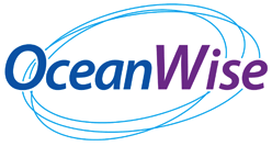 logo-3 logo-3